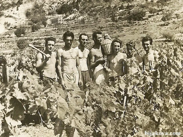 1957. tomislav buljubasic milan selak marinko garmaz veselko milos ante buljubasic petar milos dobrin ivan turic 2308