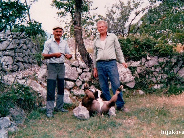 1979. marinko g. i pava s. 2328