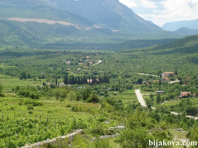 Zupa biokovska 01