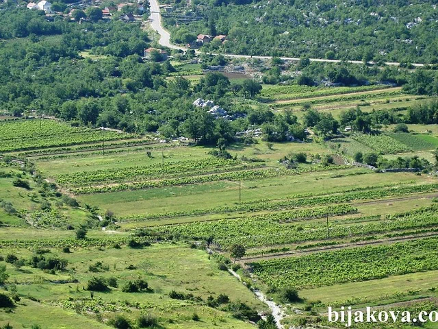 Zupa biokovska 36