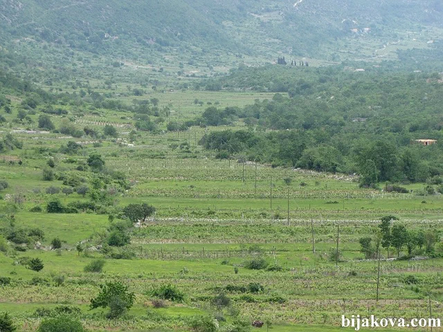 Zupa biokovska 37