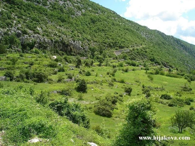 Zupa biokovska 40