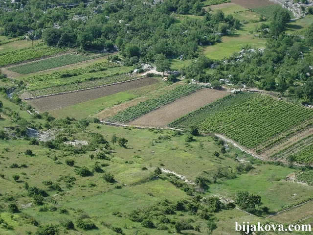 Zupa biokovska 41
