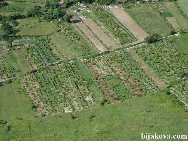 Zupa biokovska 42