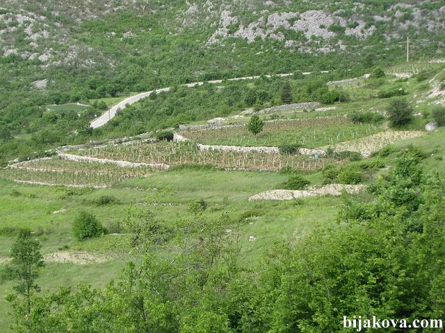 Zupa biokovska 44