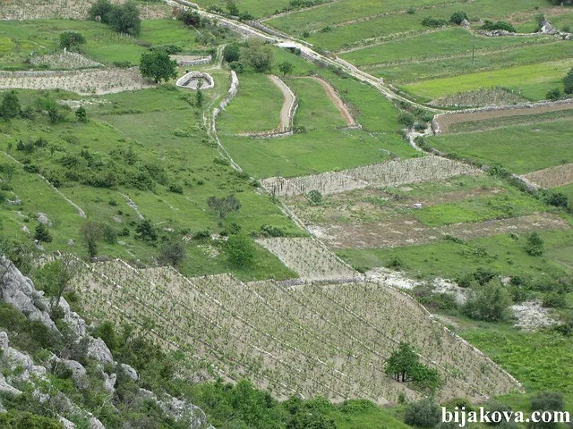 Zupa biokovska 47