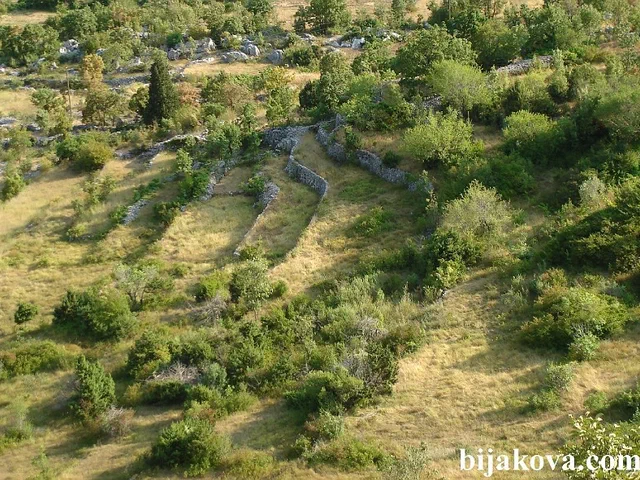 Zupa biokovska 48