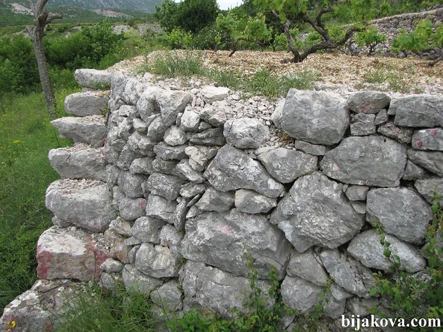 Zupa biokovska 55