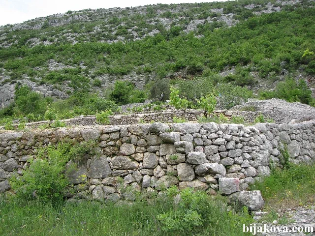 Zupa biokovska 56