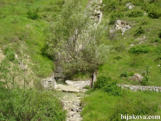 Zupa biokovska 64