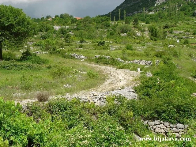 Zupa biokovska 76