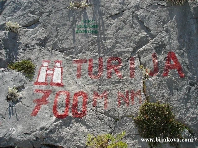 Zupa biokovska 81